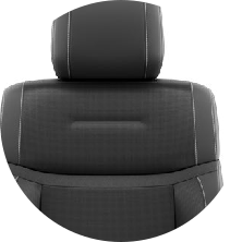 RAV4 Tapicerka skórzana w kolorze czarnym (skóra naturalna i syntetyczna)