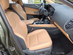 Lexus NX - miniatura 11