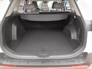 Toyota RAV4 - miniatura 18